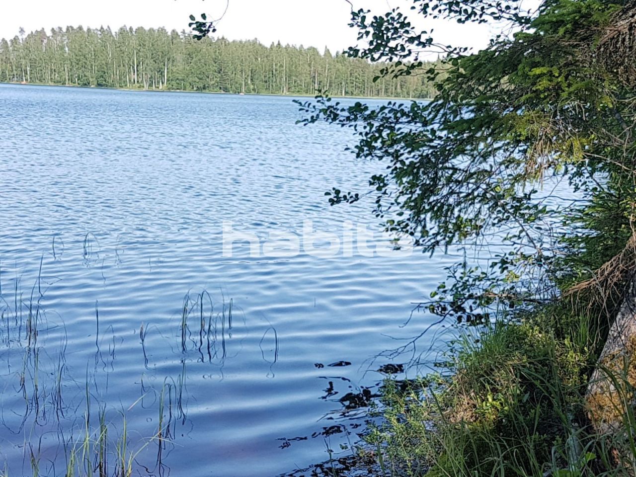 Земля в Руоколахти, Финляндия, 5 430 м2 - фото 1