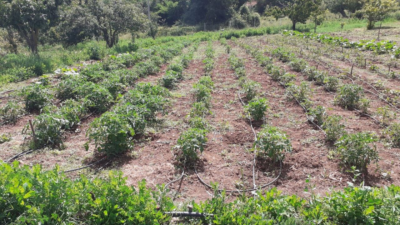 Поместье Куманово, Северная Македония, 294 м² - фото 12