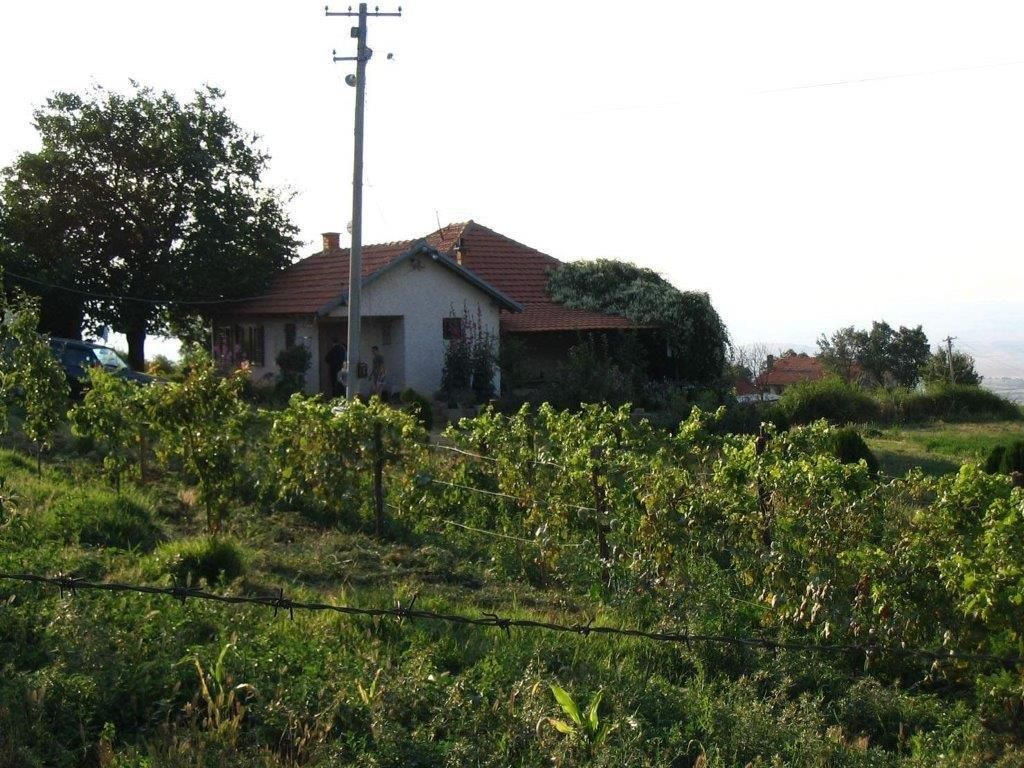 Поместье Куманово, Северная Македония, 294 м² - фото 3