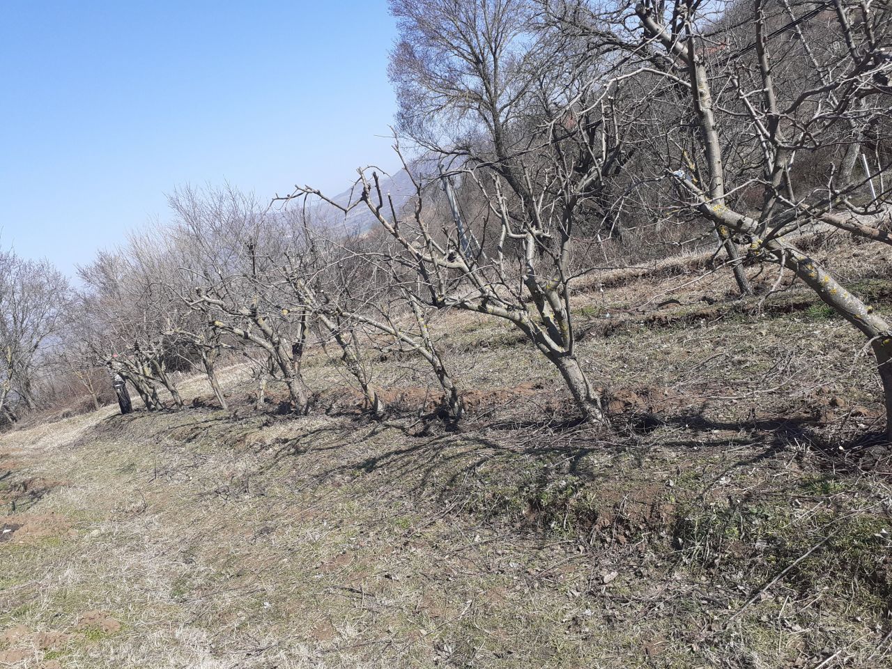 Поместье Куманово, Северная Македония, 294 м² - фото 14