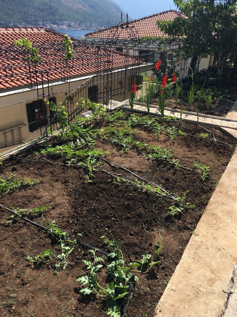 Вилла в Херцег-Нови, Черногория, 260 м² - фото 6