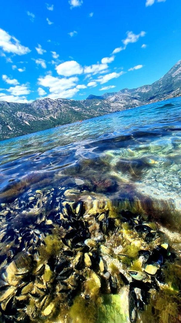 Вилла в Херцег-Нови, Черногория, 260 м² - фото 7