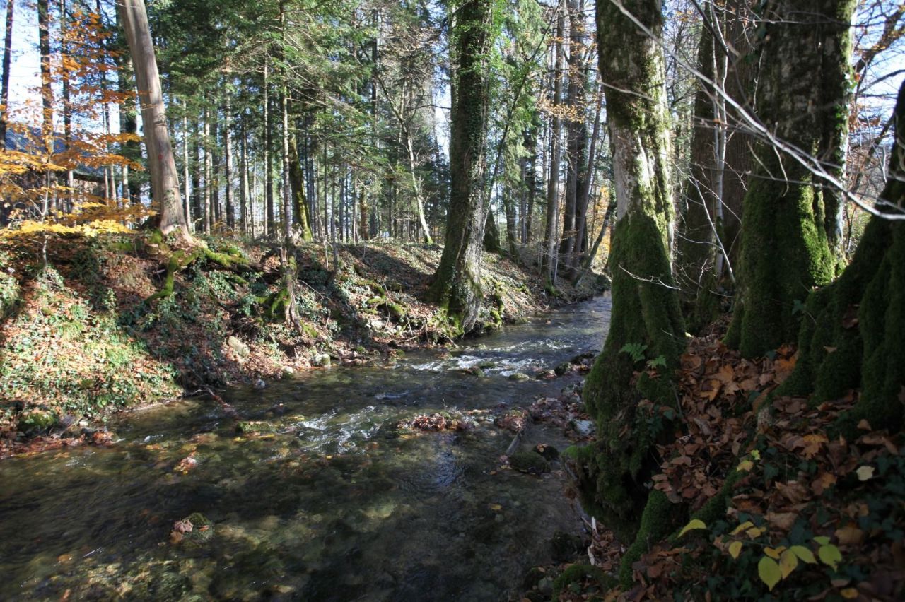 Коммерческая недвижимость в Зальцбурге, Австрия, 953 м² - фото 16