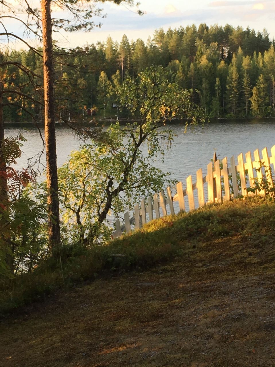 Коттедж в Юука, Финляндия, 49 м² - фото 7