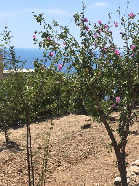 Дом в Баре, Черногория, 100 м² - фото 10