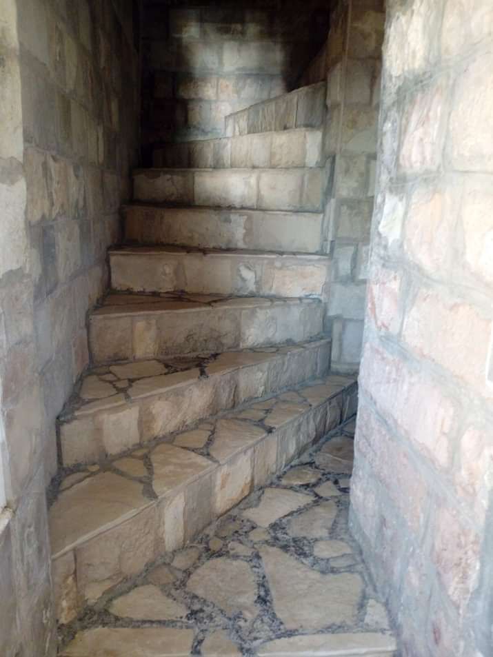 Отель, гостиница в Петроваце, Черногория, 556 м² - фото 3