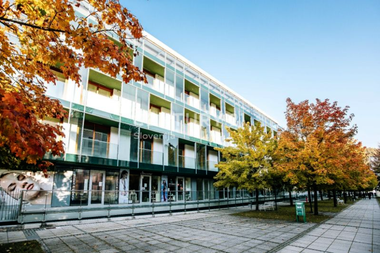 Отель, гостиница в Рогашка-Слатине, Словения, 5 171 м² - фото 1
