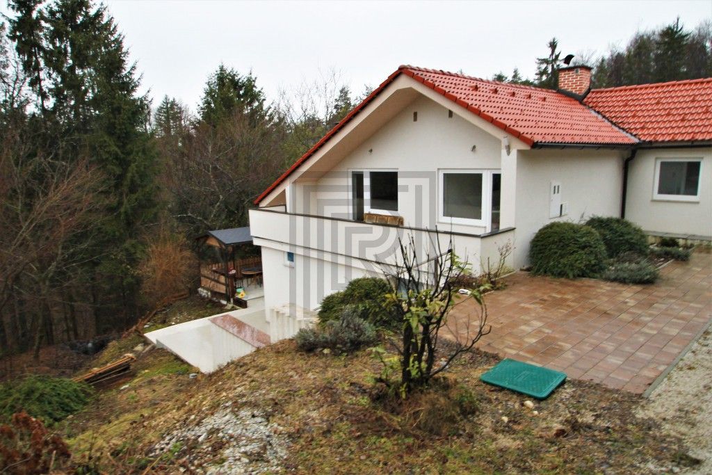 Дом в Любляне, Словения, 160 м2 - фото 1