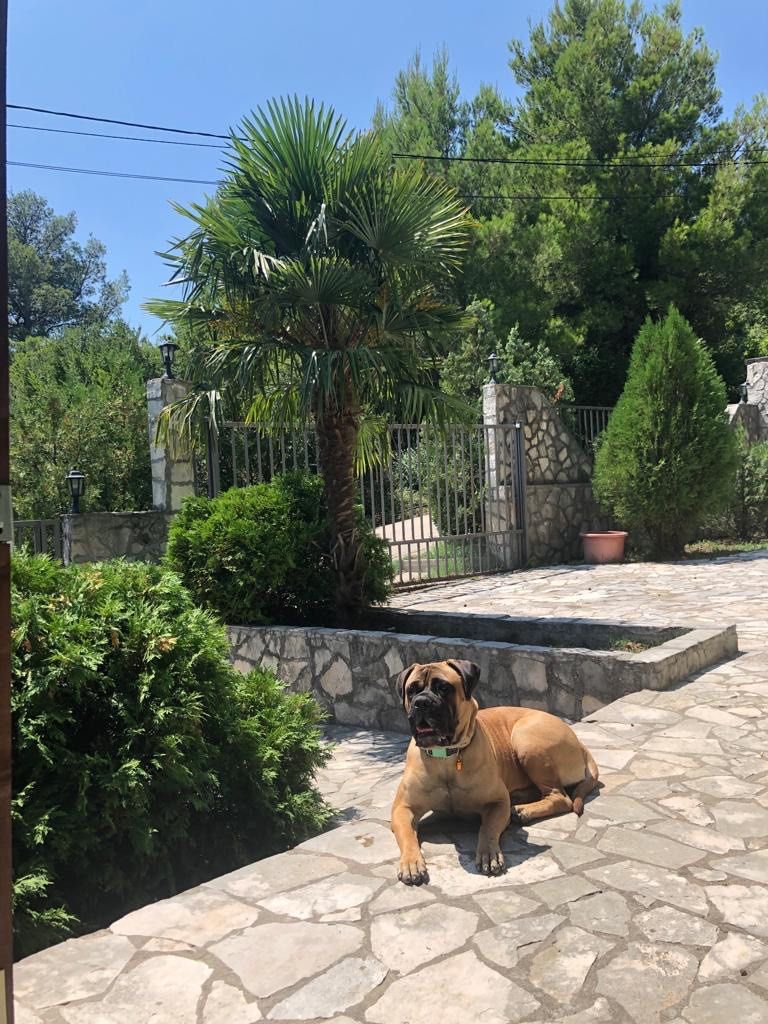 Коммерческая недвижимость в Сутоморе, Черногория, 240 м² - фото 2