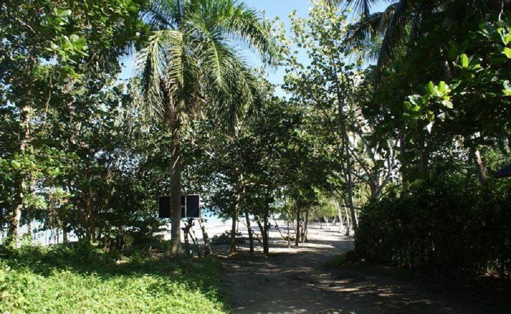 Земля в Гаспар Эрнандес, Доминиканская Республика, 4 250 м² - фото 3