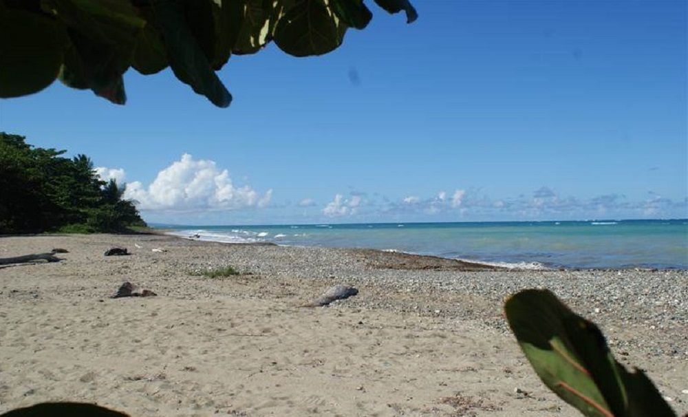 Земля в Гаспар Эрнандес, Доминиканская Республика, 4 250 м² - фото 4