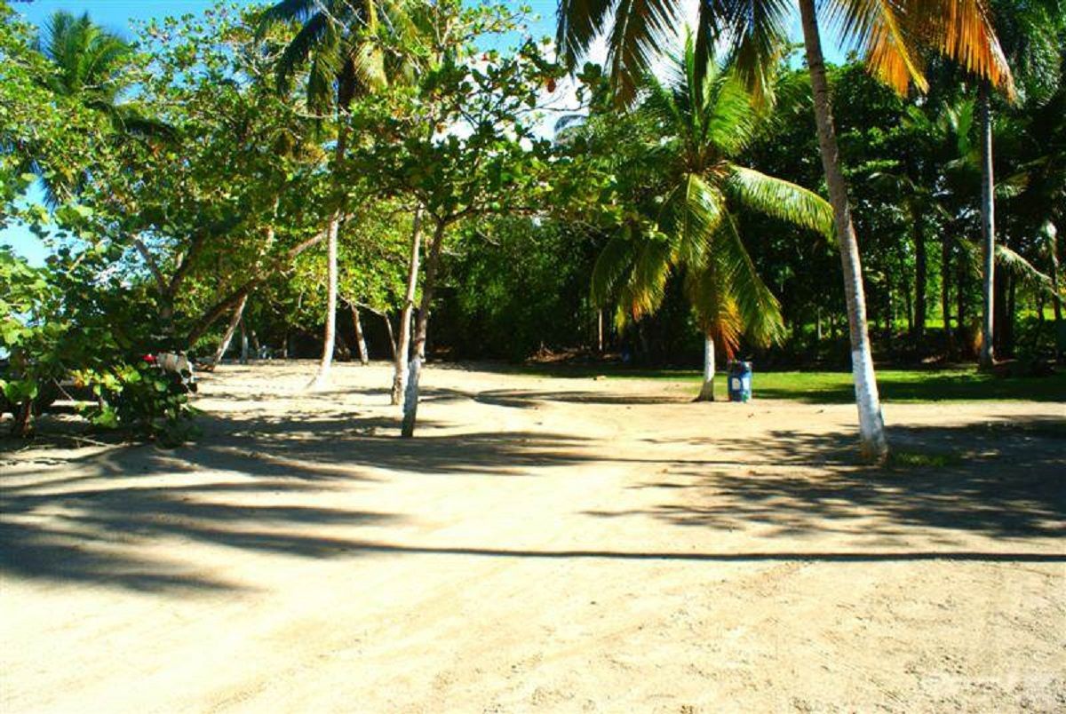 Земля в Гаспар Эрнандес, Доминиканская Республика, 4 250 м² - фото 6