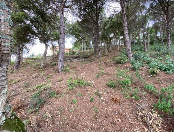 Земля на Льорет-де-Мар, Испания, 7.7 сот. - фото 6