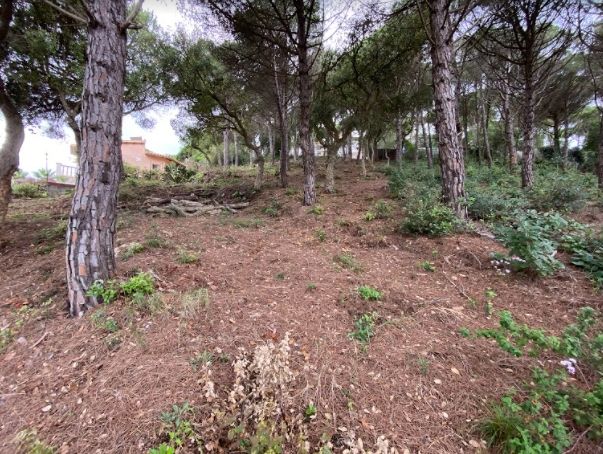 Земля на Льорет-де-Мар, Испания, 7.7 сот. - фото 7