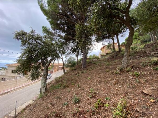 Земля на Льорет-де-Мар, Испания, 7.7 сот. - фото 3