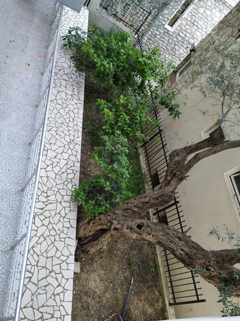 Дом в Улцине, Черногория, 480 м² - фото 7