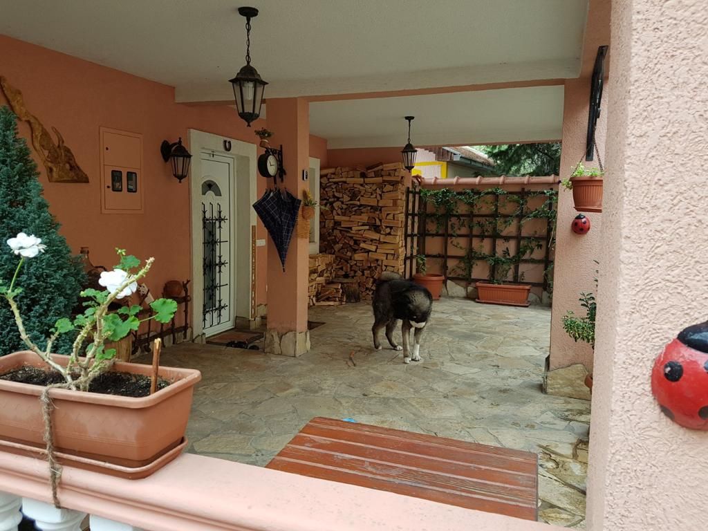 Дом в Баре, Черногория, 238 м² - фото 12