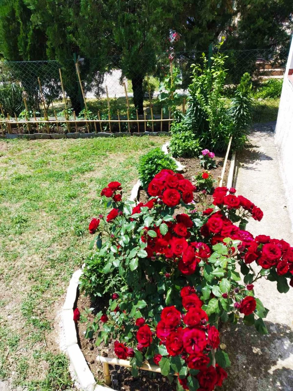 Дом в Баре, Черногория, 200 м² - фото 6