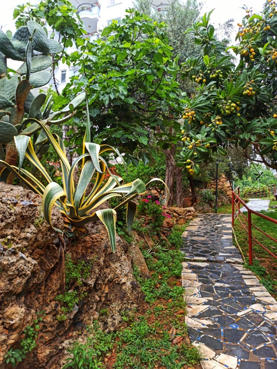 Квартира в Алании, Турция, 65 м² - фото 4