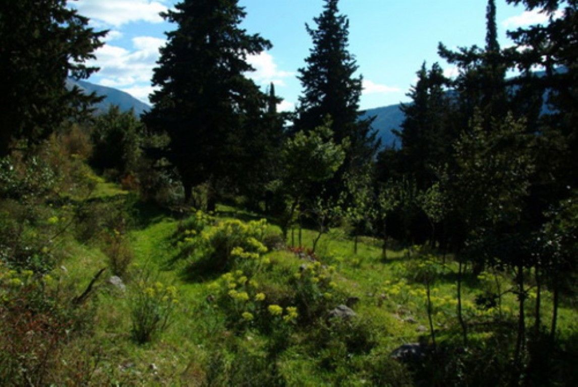 Земля в Доброте, Черногория, 1 200 м² - фото 6