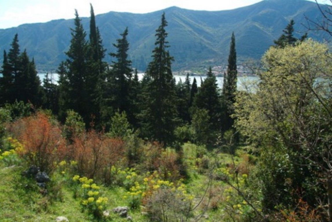 Земля в Доброте, Черногория, 1 200 м² - фото 5