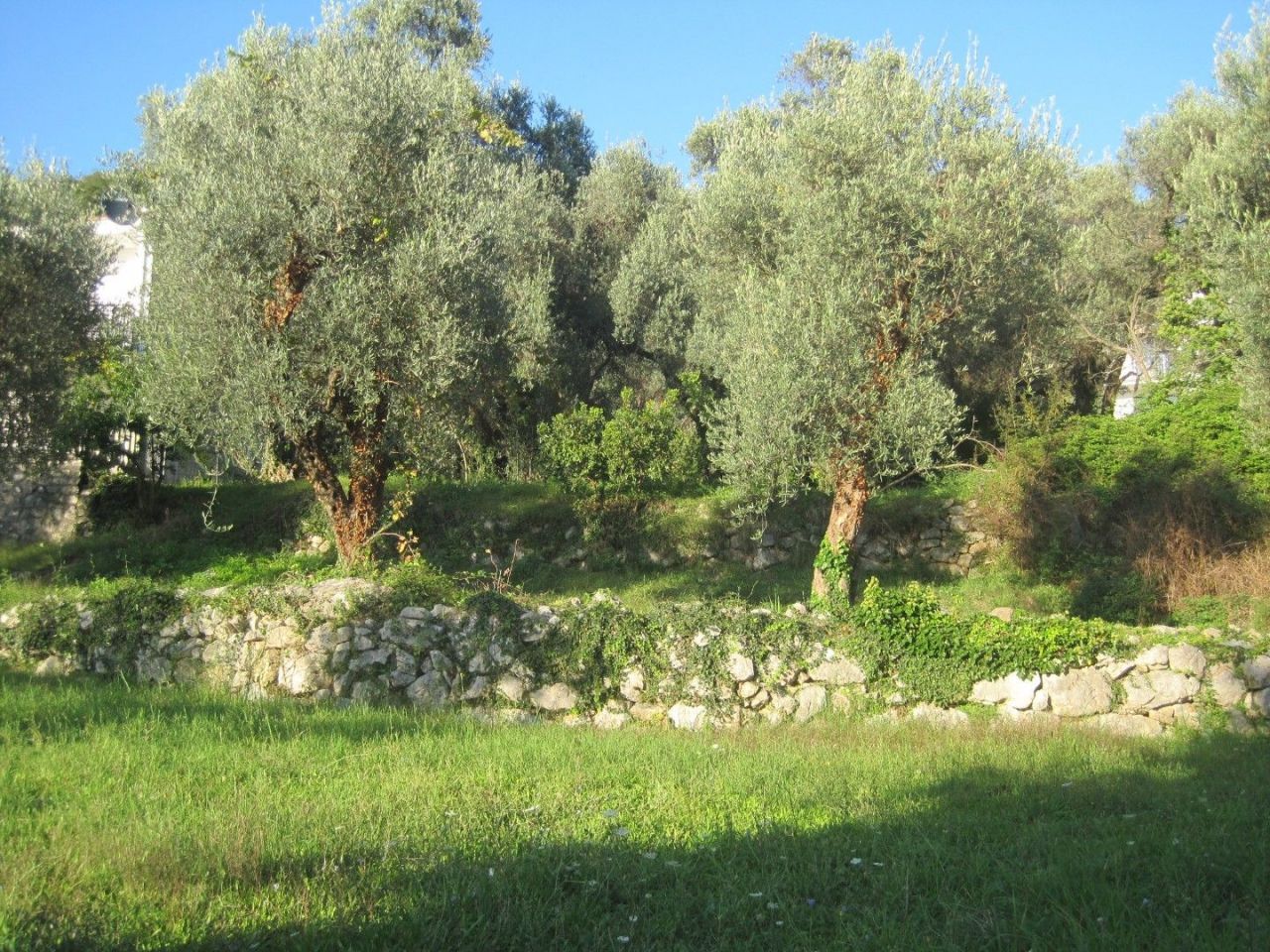 Земля Каменово, Черногория, 322 м² - фото 3