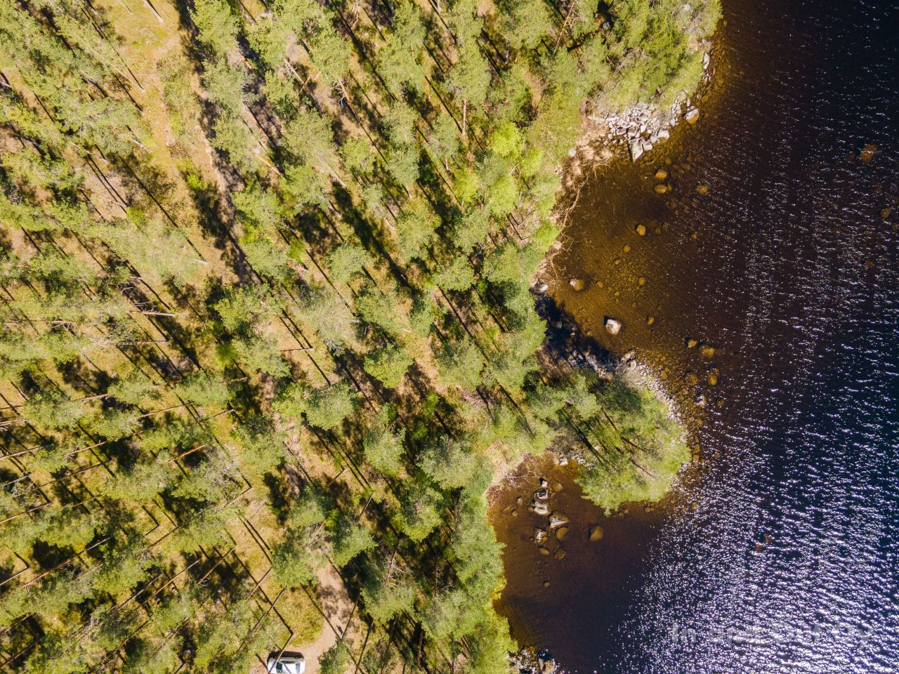 Земля в Руоколахти, Финляндия, 4 000 м² - фото 5