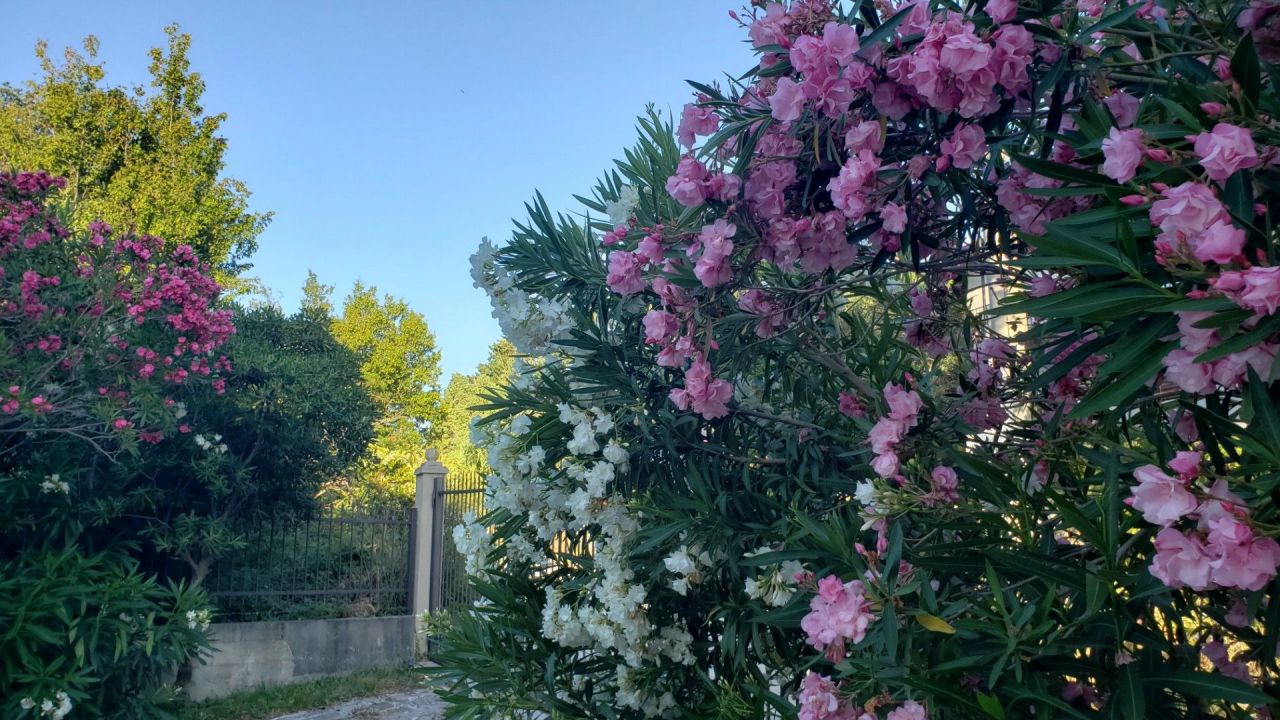 Вилла в Сутоморе, Черногория, 250 м² - фото 2