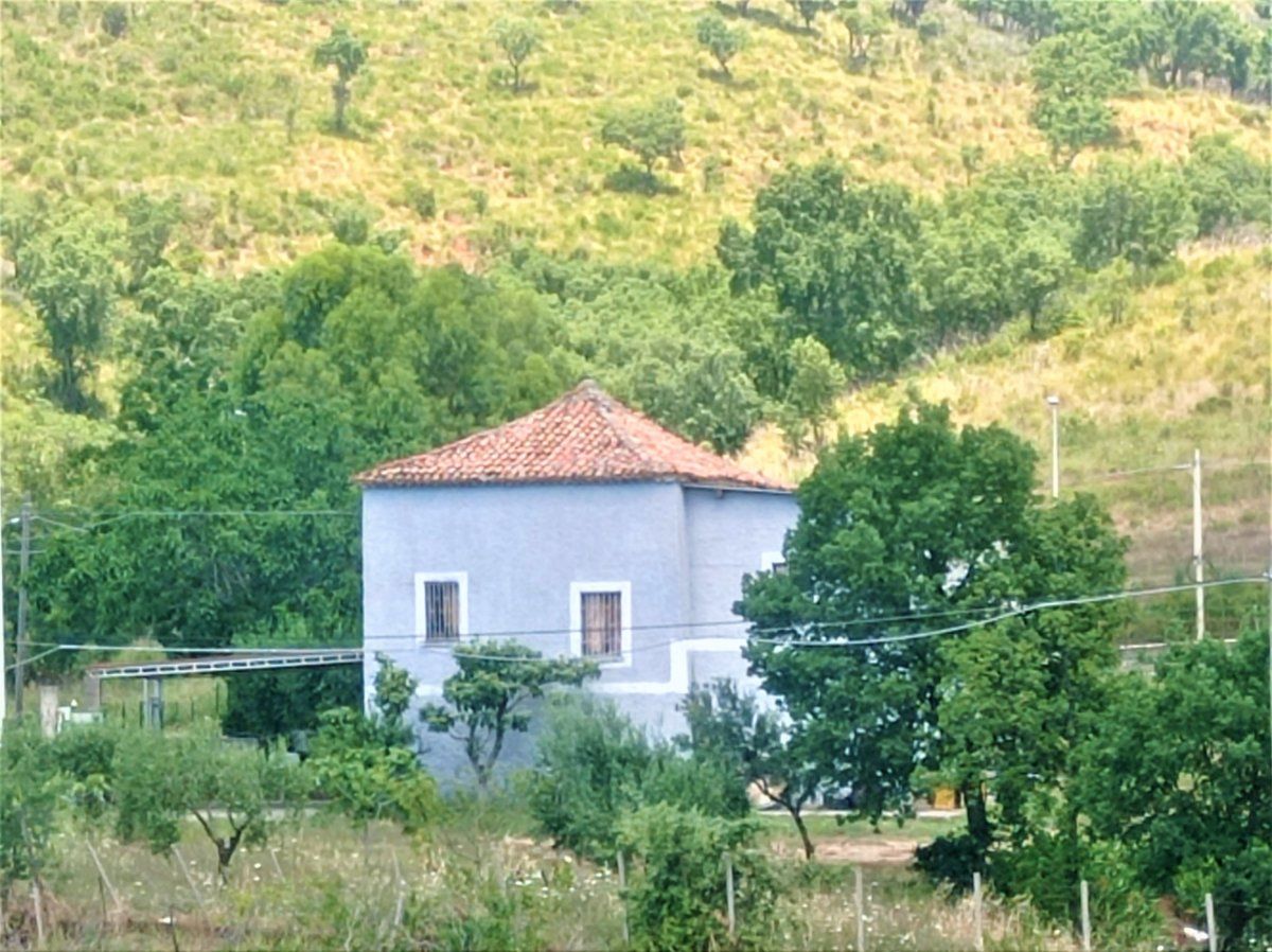 Дом в Скалее, Италия, 210 м² - фото 4