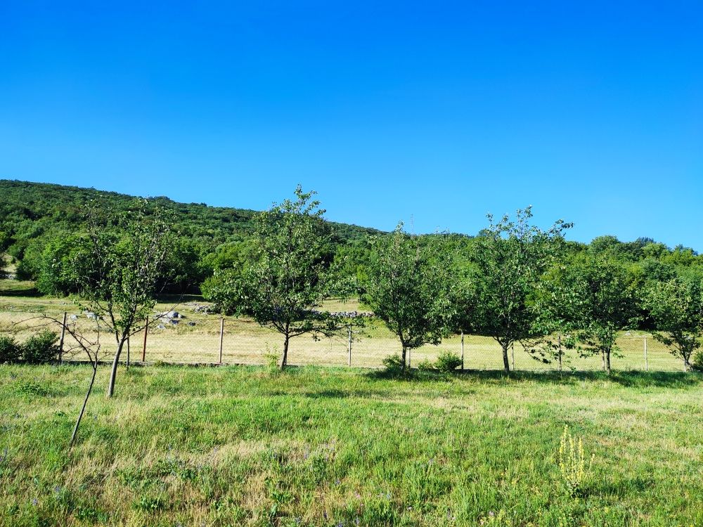 Земля в Никшиче, Черногория, 1 330 м² - фото 8