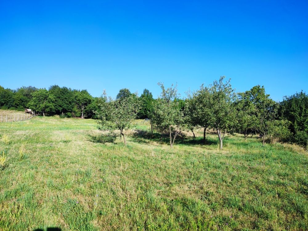 Земля в Никшиче, Черногория, 1 330 м² - фото 11