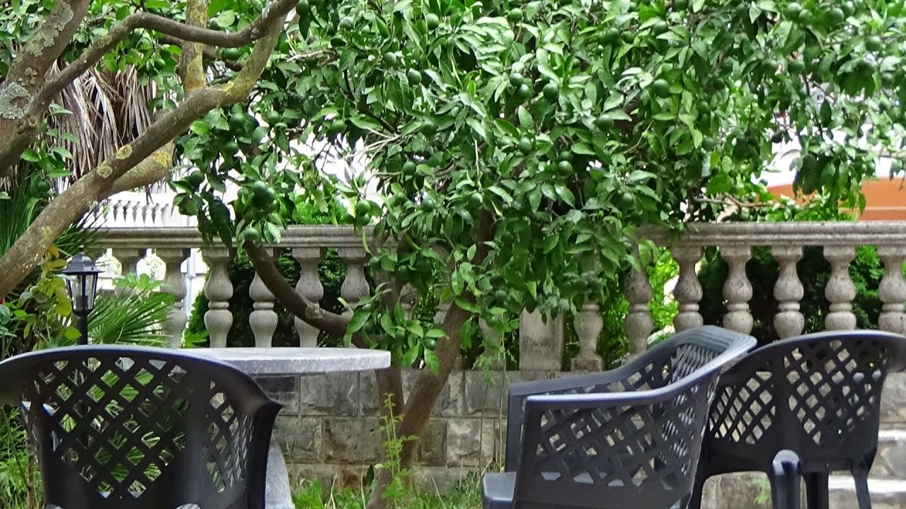 Вилла в Доброте, Черногория, 300 м² - фото 4