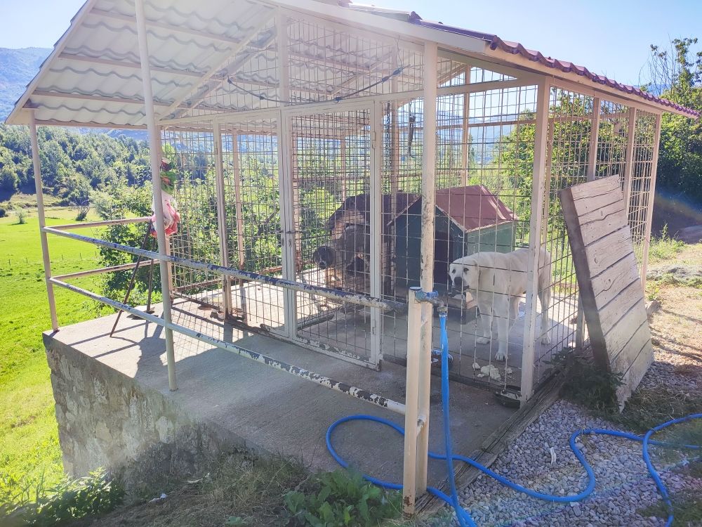 Поместье в Никшиче, Черногория, 350 м² - фото 10