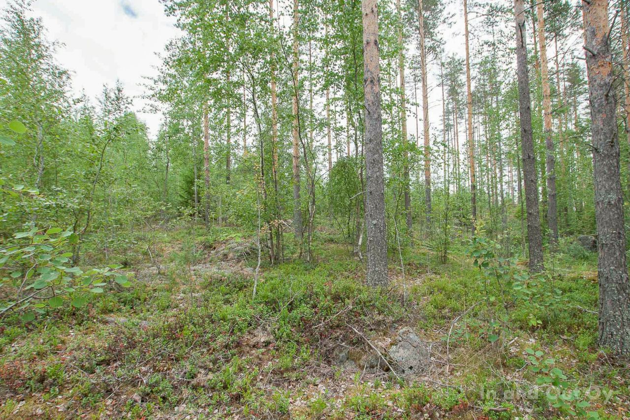 Земля в Пуумала, Финляндия, 6 700 сот. - фото 3