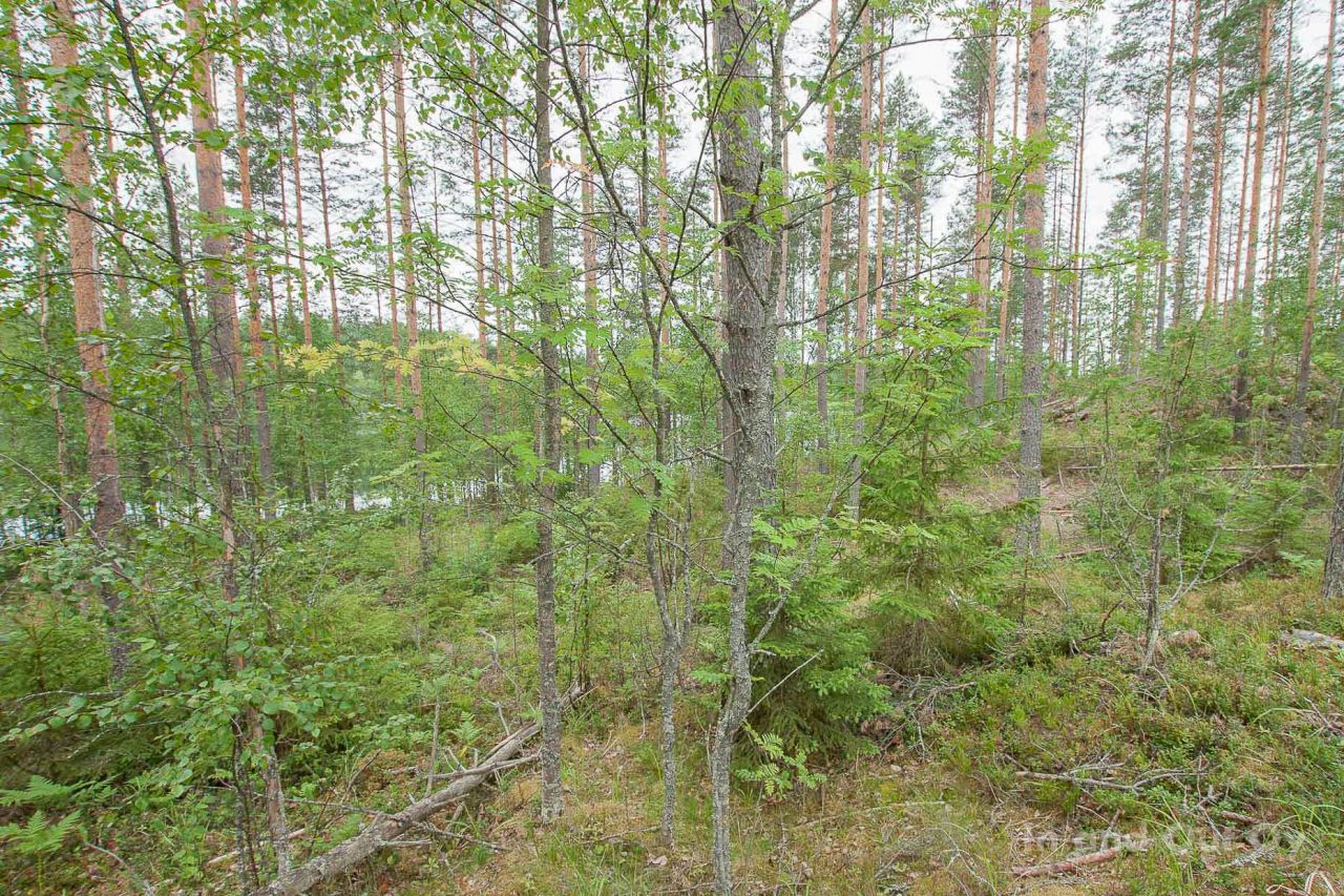 Земля в Пуумала, Финляндия, 6 700 сот. - фото 2