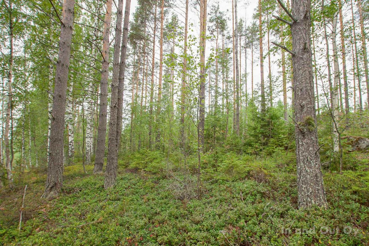 Земля в Пуумала, Финляндия, 6 700 сот. - фото 7