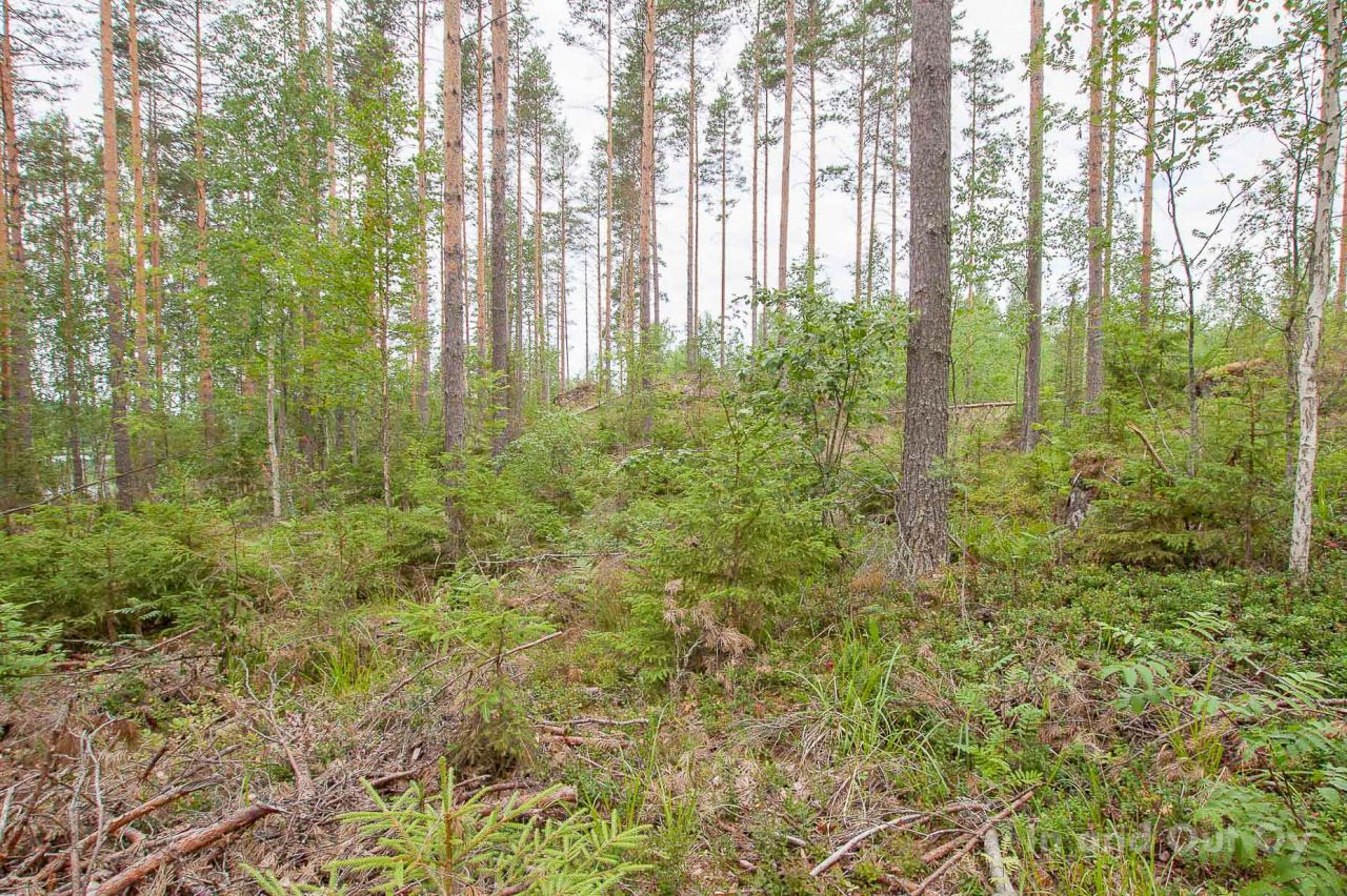 Земля в Пуумала, Финляндия, 6 700 сот. - фото 4