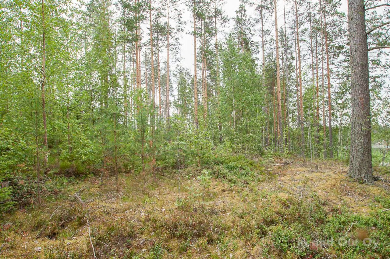 Земля в Пуумала, Финляндия, 6 700 сот. - фото 8