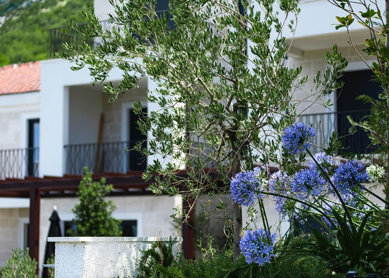 Квартира в Святом Стефане, Черногория, 53 м² - фото 8