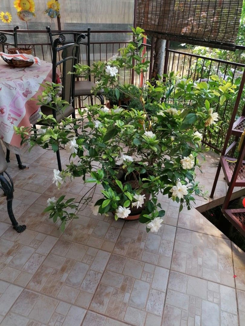 Дом в Добра Воде, Черногория, 128 м² - фото 16