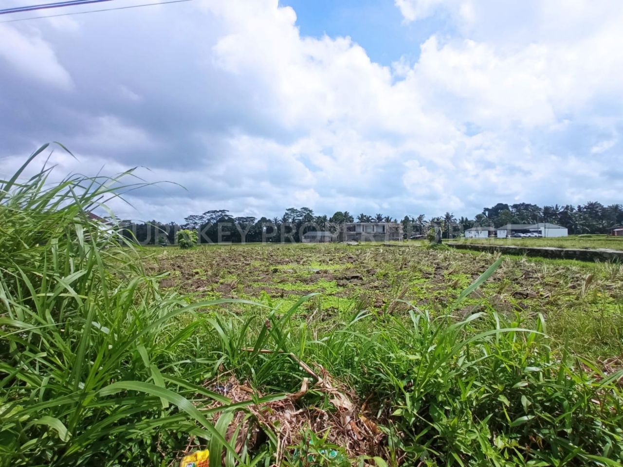 Земля в Убуде, Индонезия, 2 100 м2 - фото 1