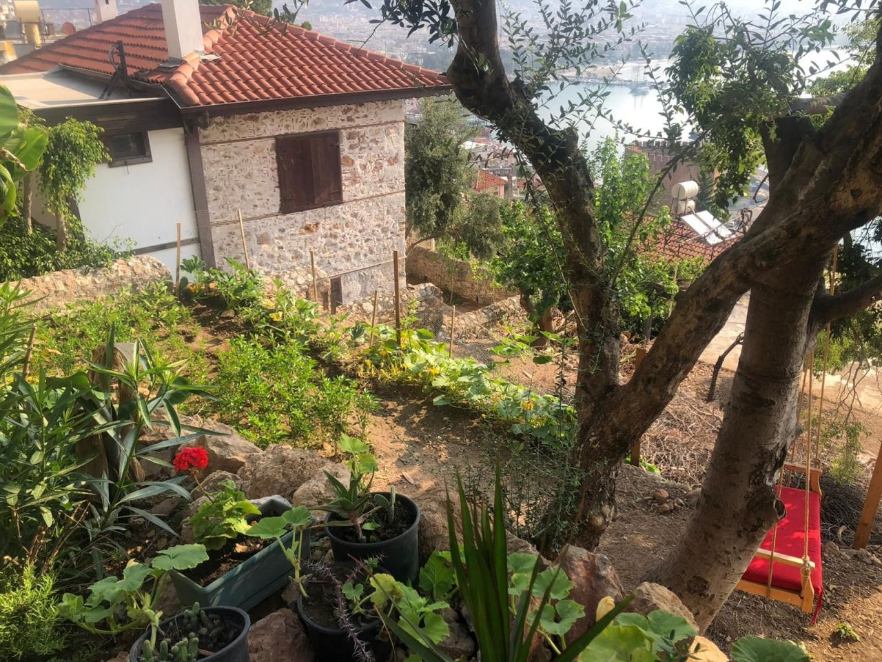 Квартира в Алании, Турция, 50 м² - фото 7