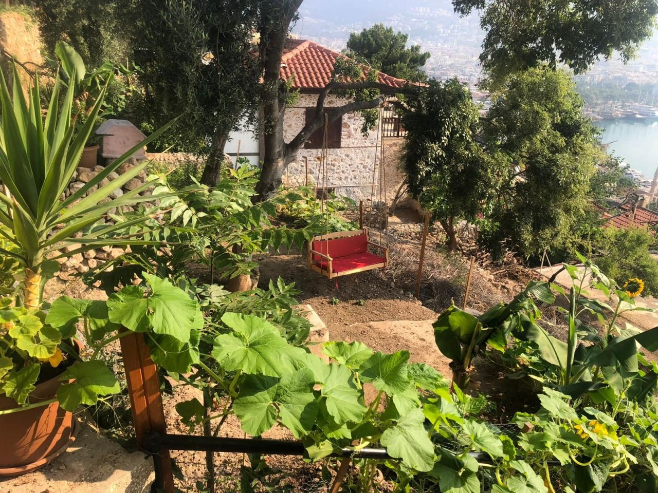 Квартира в Алании, Турция, 50 м² - фото 8