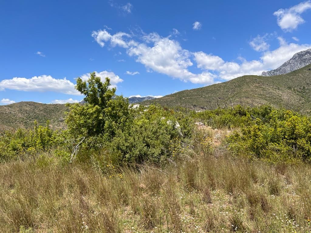 Земля в Алании, Турция, 38 100 м² - фото 6