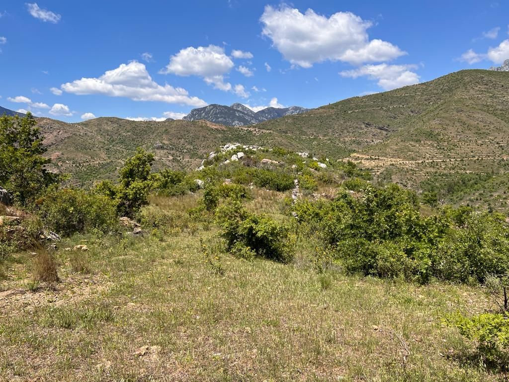 Земля в Алании, Турция, 38 100 м² - фото 7