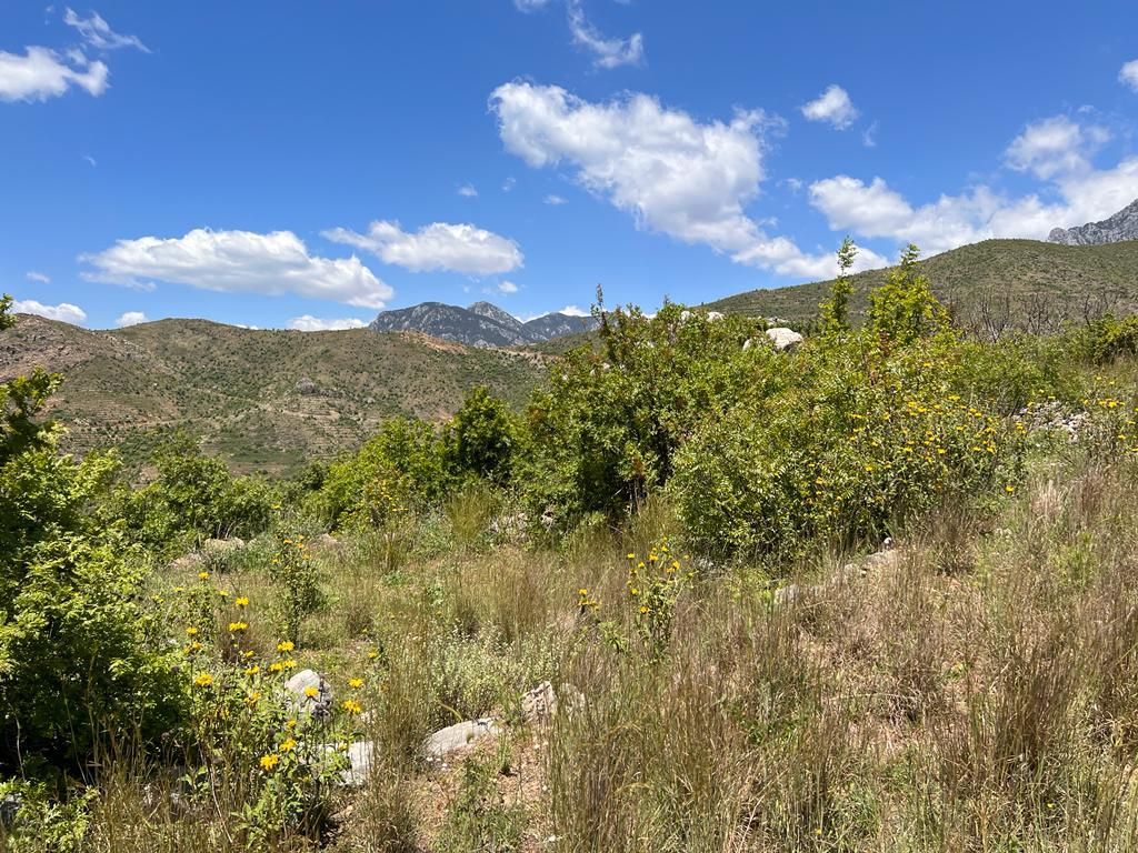 Земля в Алании, Турция, 38 100 м² - фото 2