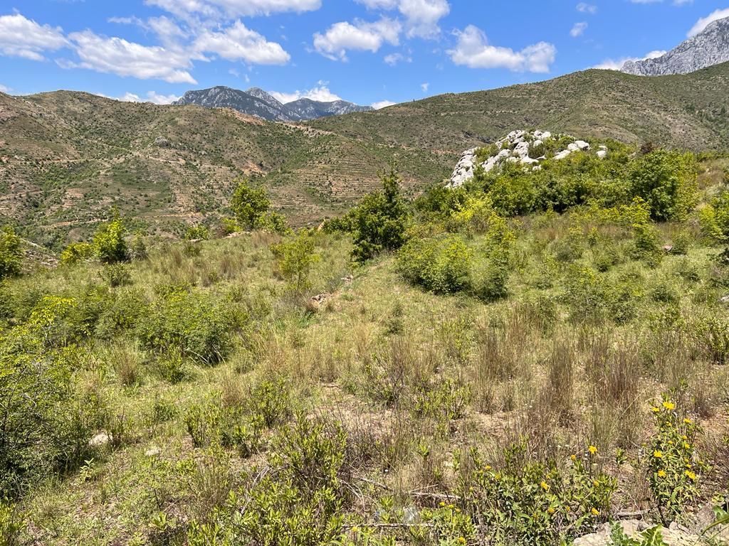 Земля в Алании, Турция, 38 100 м² - фото 8