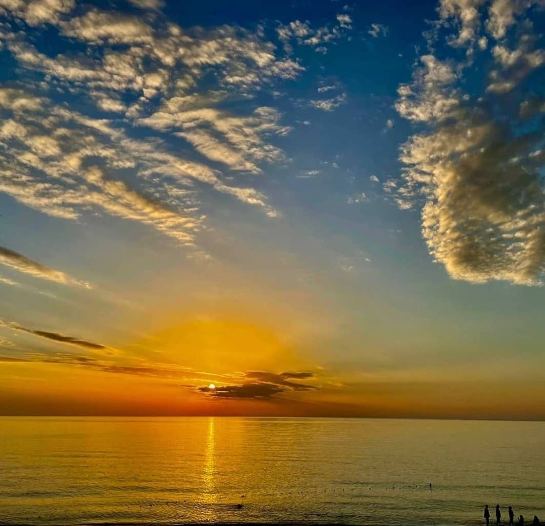 Земля в Газипаше, Турция, 516.56 м² - фото 4