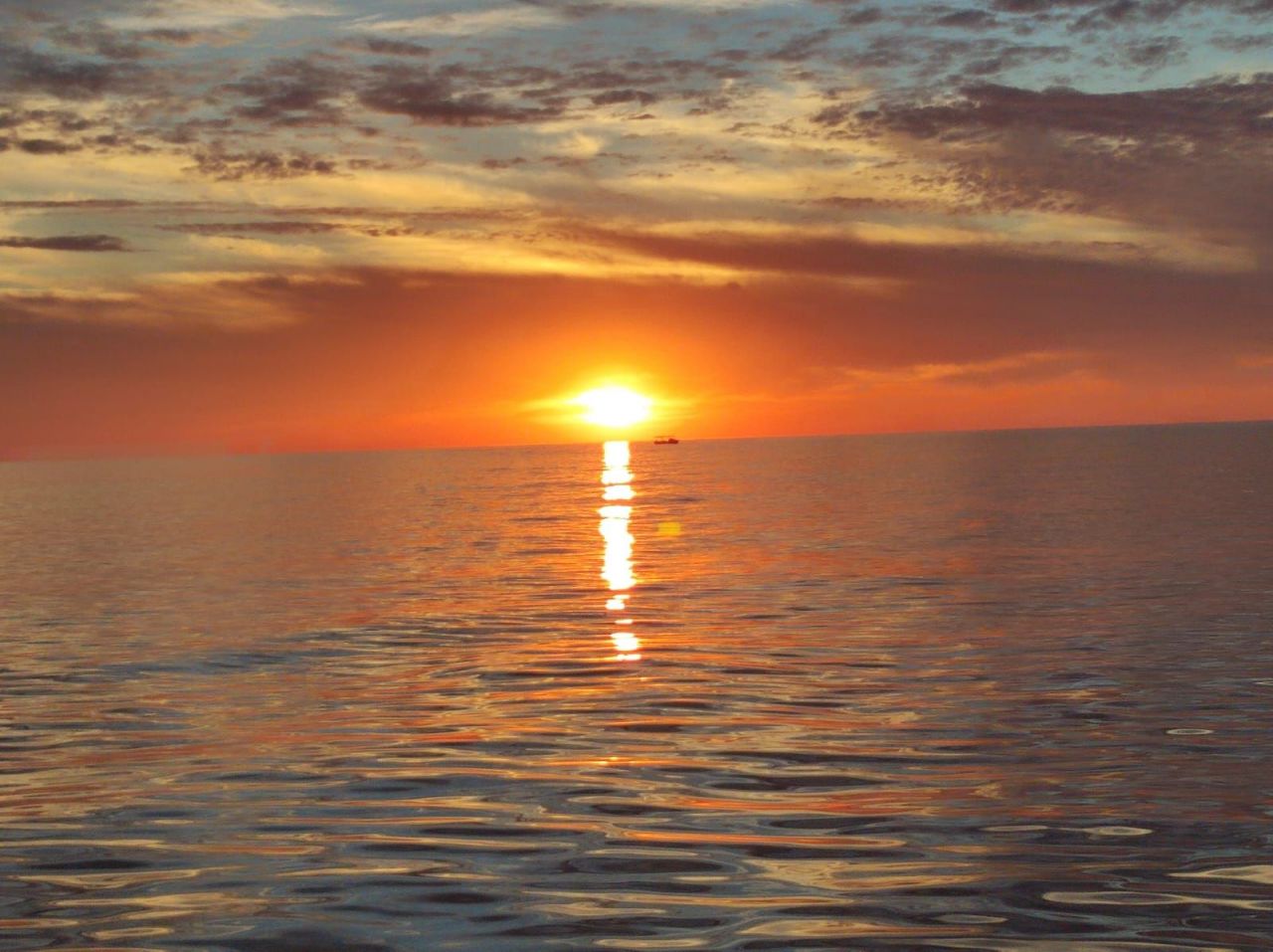 Земля в Газипаше, Турция, 518.07 м² - фото 7