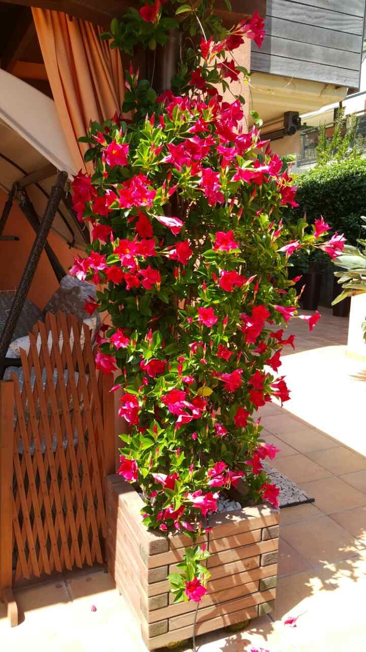 Апартаменты на Льорет-де-Мар, Испания, 80 м² - фото 7